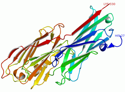 Image Asym./Biol. Unit - manually