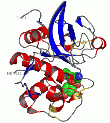 Image Asym./Biol. Unit - manually