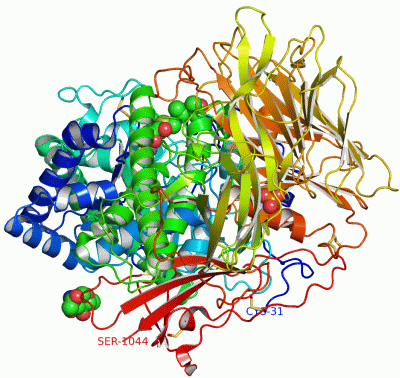 Image Asym./Biol. Unit - manually