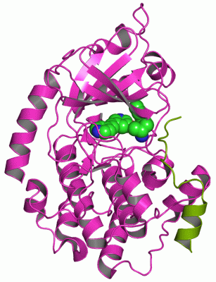 Image Asym./Biol. Unit - manually