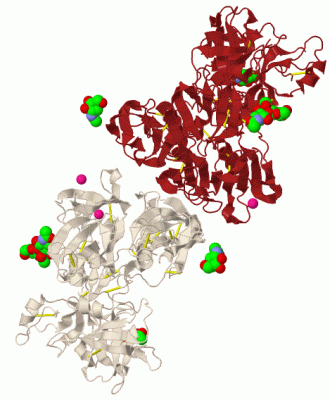 Image Biol.Unit 1 - manually