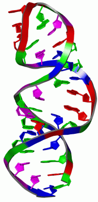 Image NMR Structure - manually