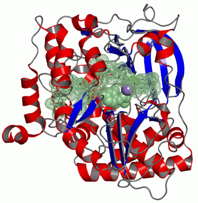 Image Asym./Biol. Unit - manually