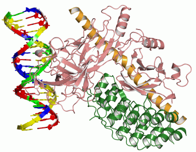 Image Asym./Biol. Unit - manually