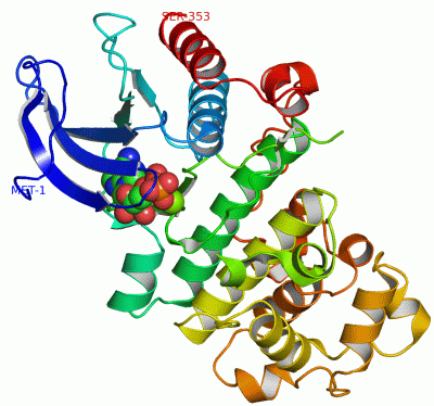 Image Asym./Biol. Unit - manually