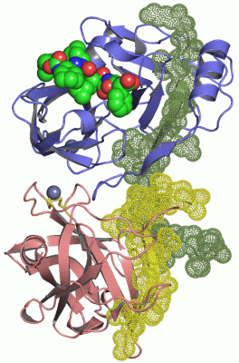 Image Asym./Biol. Unit - manually