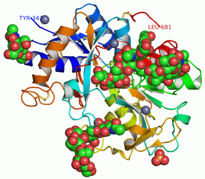 Image Asym./Biol. Unit - manually