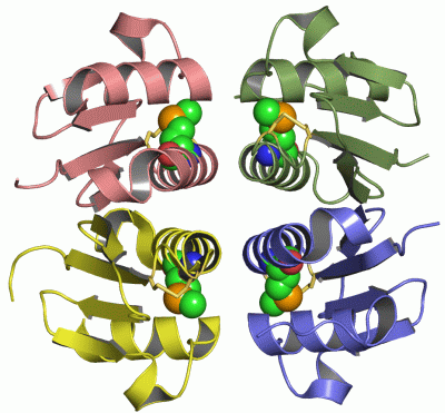 Image Asym./Biol. Unit - manually