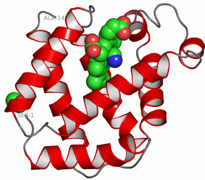 Image Asym./Biol. Unit - manually