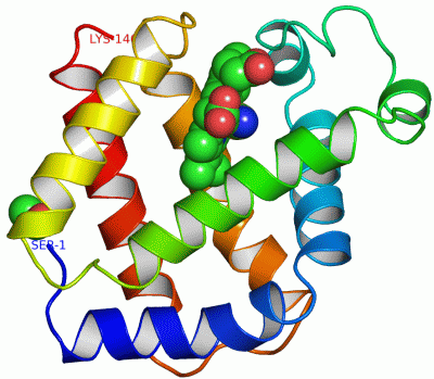 Image Asym./Biol. Unit - manually