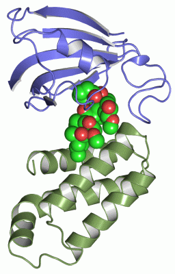 Image Asym./Biol. Unit - manually