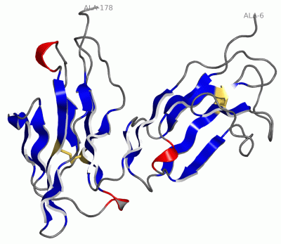 Image Asym./Biol. Unit - manually