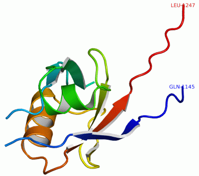 Image Asym./Biol. Unit - manually