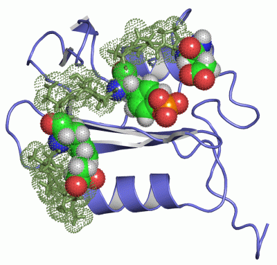 Image NMR Structure - manually