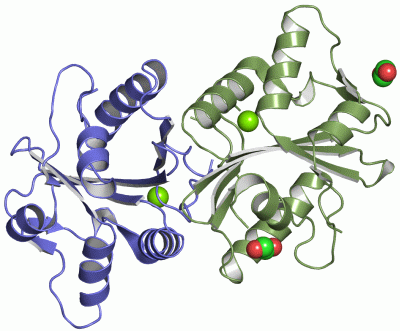 Image Asym./Biol. Unit - manually