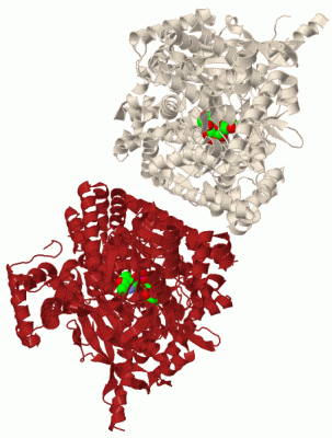 Image Biol.Unit 1 - manually