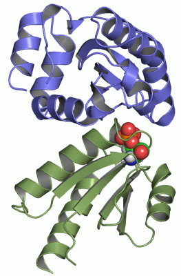 Image NMR Structure - manually