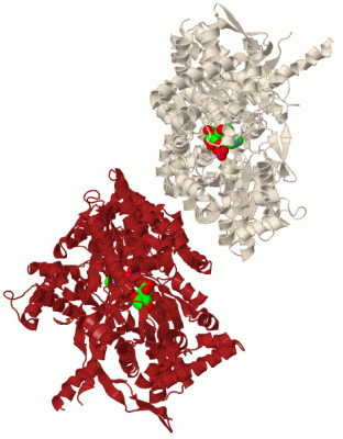 Image Biol.Unit 1 - manually