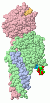 Image Biol.Unit 1 - manually