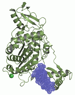 Image Asym./Biol. Unit - manually