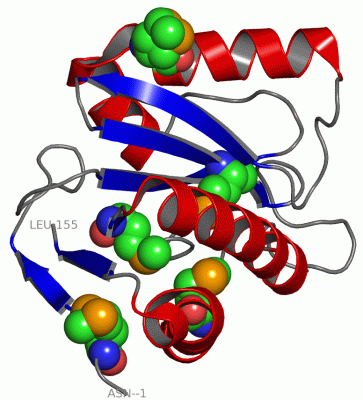 Image Asym./Biol. Unit - manually