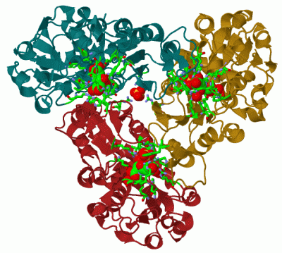 Image Biol.Unit 1 - manually