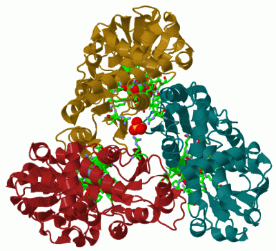 Image Biol.Unit 1 - manually