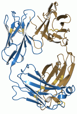 Image Asym./Biol. Unit - manually