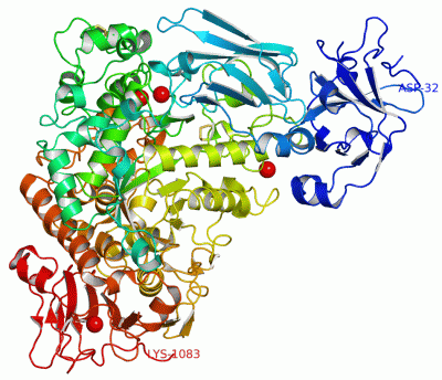 Image Asym./Biol. Unit - manually