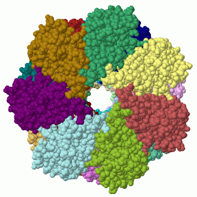 Image Asym./Biol. Unit - manually