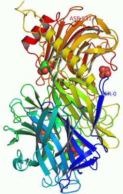 Image Asym./Biol. Unit - manually