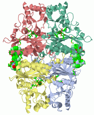 Image Asym./Biol. Unit - manually