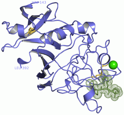 Image Asym./Biol. Unit - manually