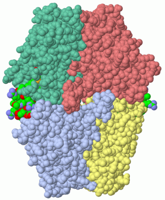 Image Asym./Biol. Unit - manually