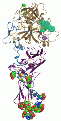 Image Asym./Biol. Unit - manually