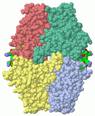 Image Asym./Biol. Unit - manually