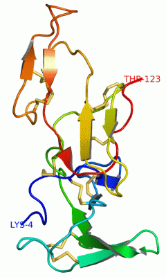 Image Asym./Biol. Unit - manually