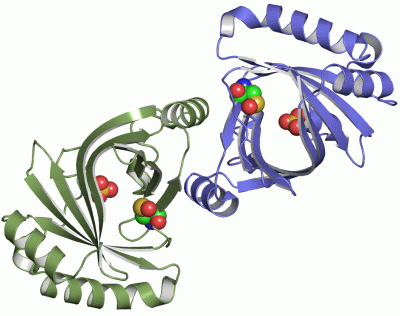 Image Asym./Biol. Unit - manually