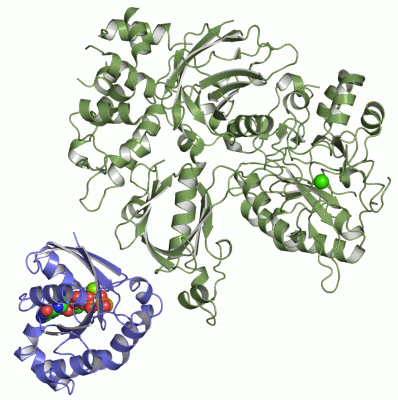 Image Asym./Biol. Unit - manually