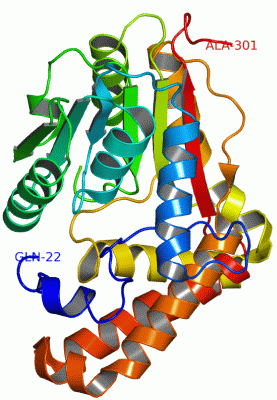 Image Asym./Biol. Unit - manually