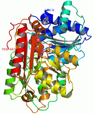 Image Asym./Biol. Unit - manually