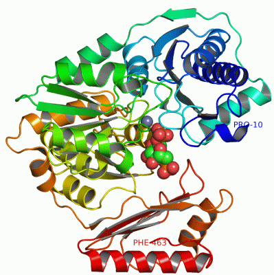 Image Asym./Biol. Unit - manually