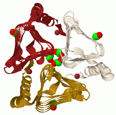 Image Biol.Unit 1 - manually