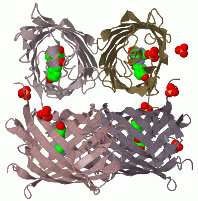 Image Biol.Unit 1 - manually