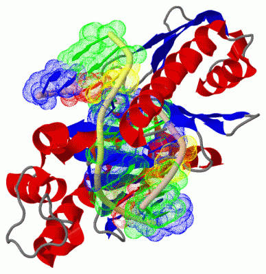 Image Asym./Biol. Unit - manually