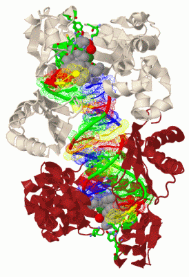 Image Biol.Unit 1 - manually