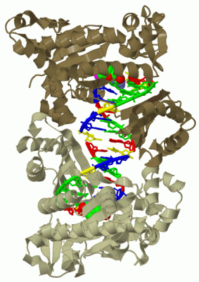 Image Biol.Unit 1 - manually