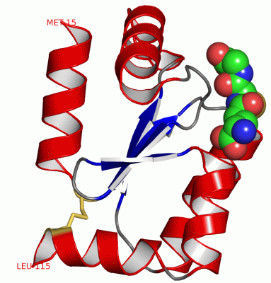 Image Asym./Biol. Unit - manually