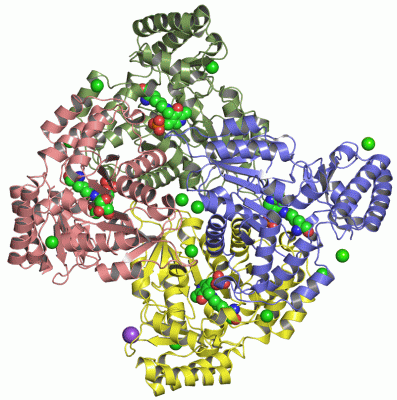 Image Asym./Biol. Unit - manually