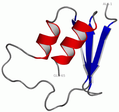 Image NMR Structure - manually